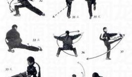 打拳架在线观看